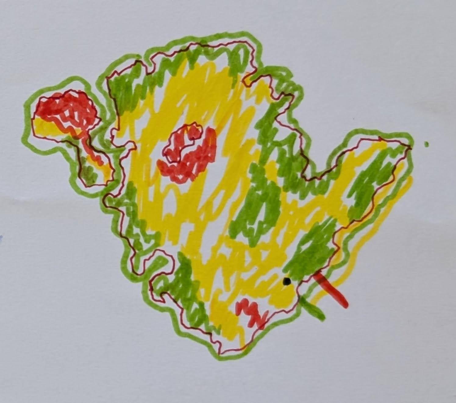 Exploring our preconceived ideas of what maps are and how they might be used. A drawing by one of the Home Edders that depicts how they feel about the different areas on Ynys Môn indicated by colours.